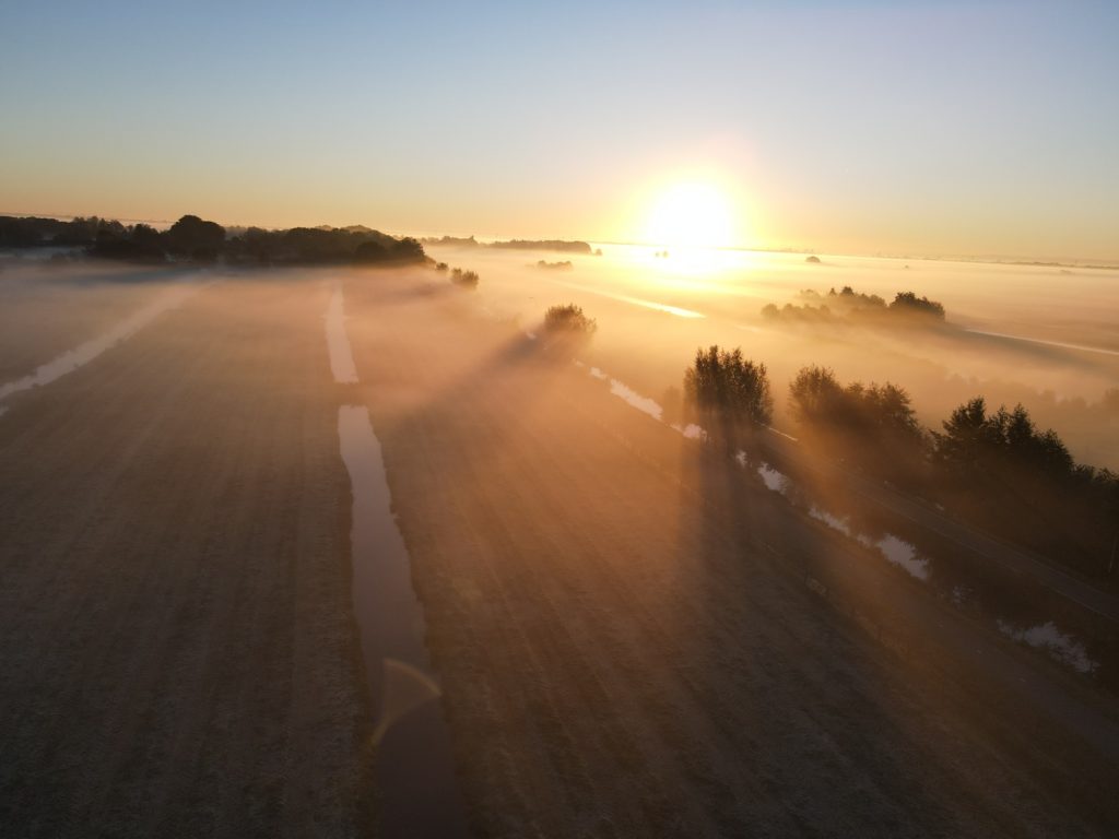 Oortjespad in Kamerik bij zonsopgang